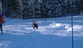 13_decembre_entrainement_ski_club_033