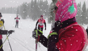 dsc08290-snow